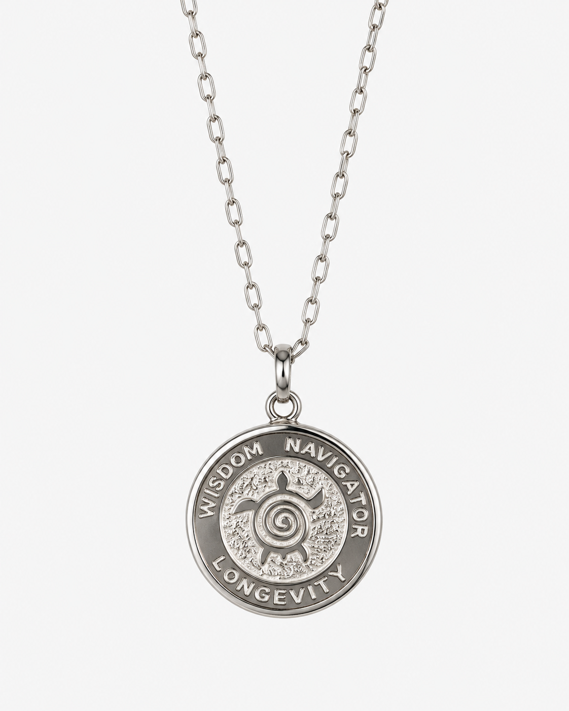 Large Silver Turtle 6 Pendent