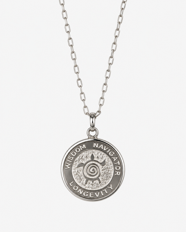 Large Silver Turtle 6 Pendent