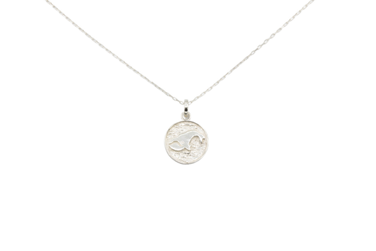 Silver Whale Mini Pendant w/chain